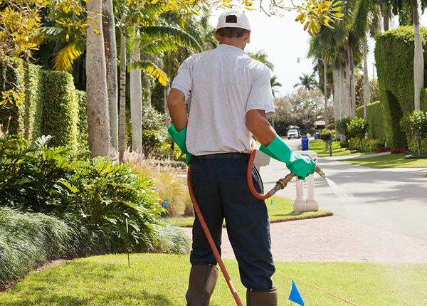 About Derby CT Pest Control Pros